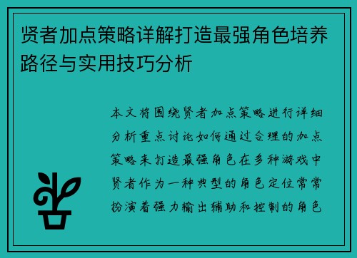 贤者加点策略详解打造最强角色培养路径与实用技巧分析
